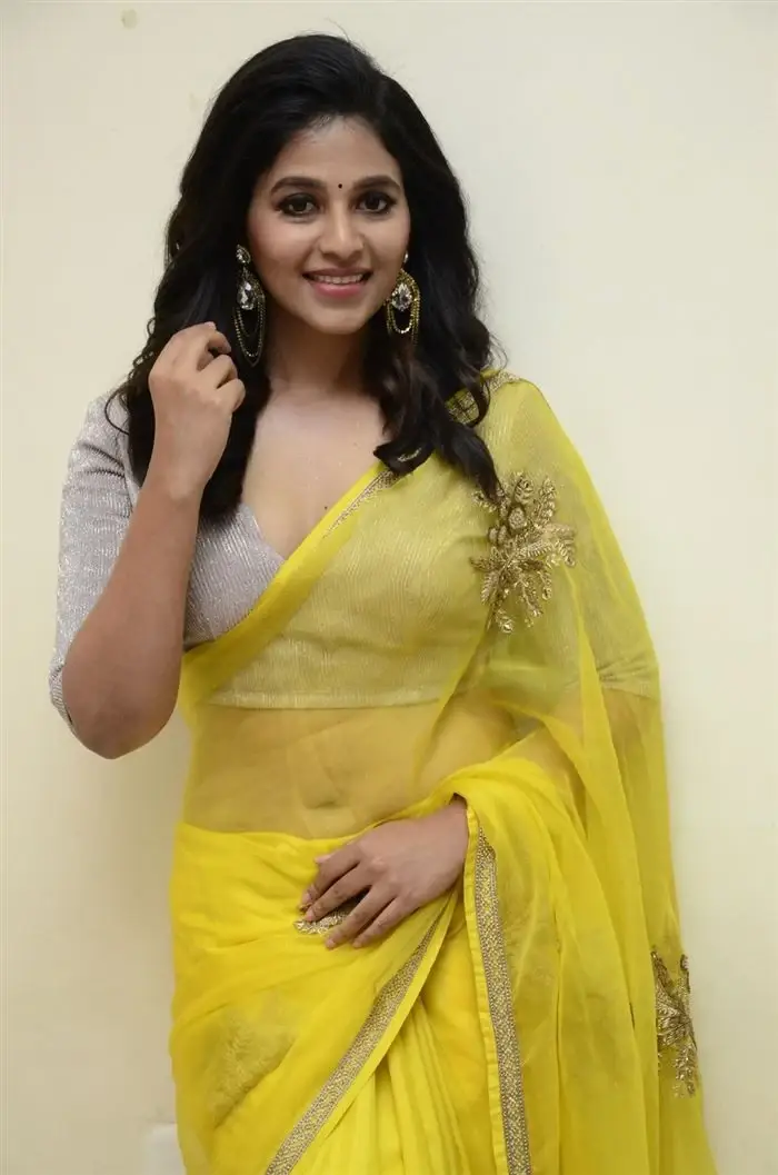 SOUTH INDIAN ACTRESS ANJALI STILLS IN TRADITIONAL LEMON YELLOW SAREE 10